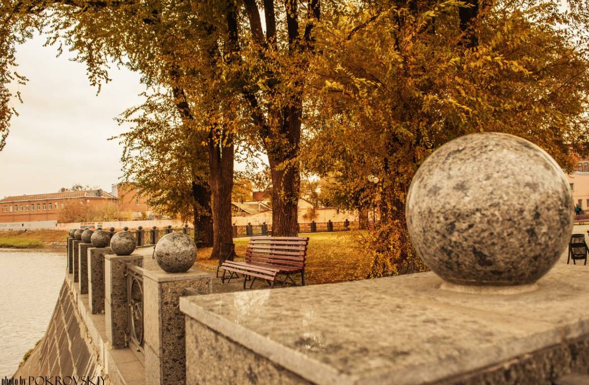 листопад. конец осени ноябрь. золотая осень. осень в городе. дерево листопад.