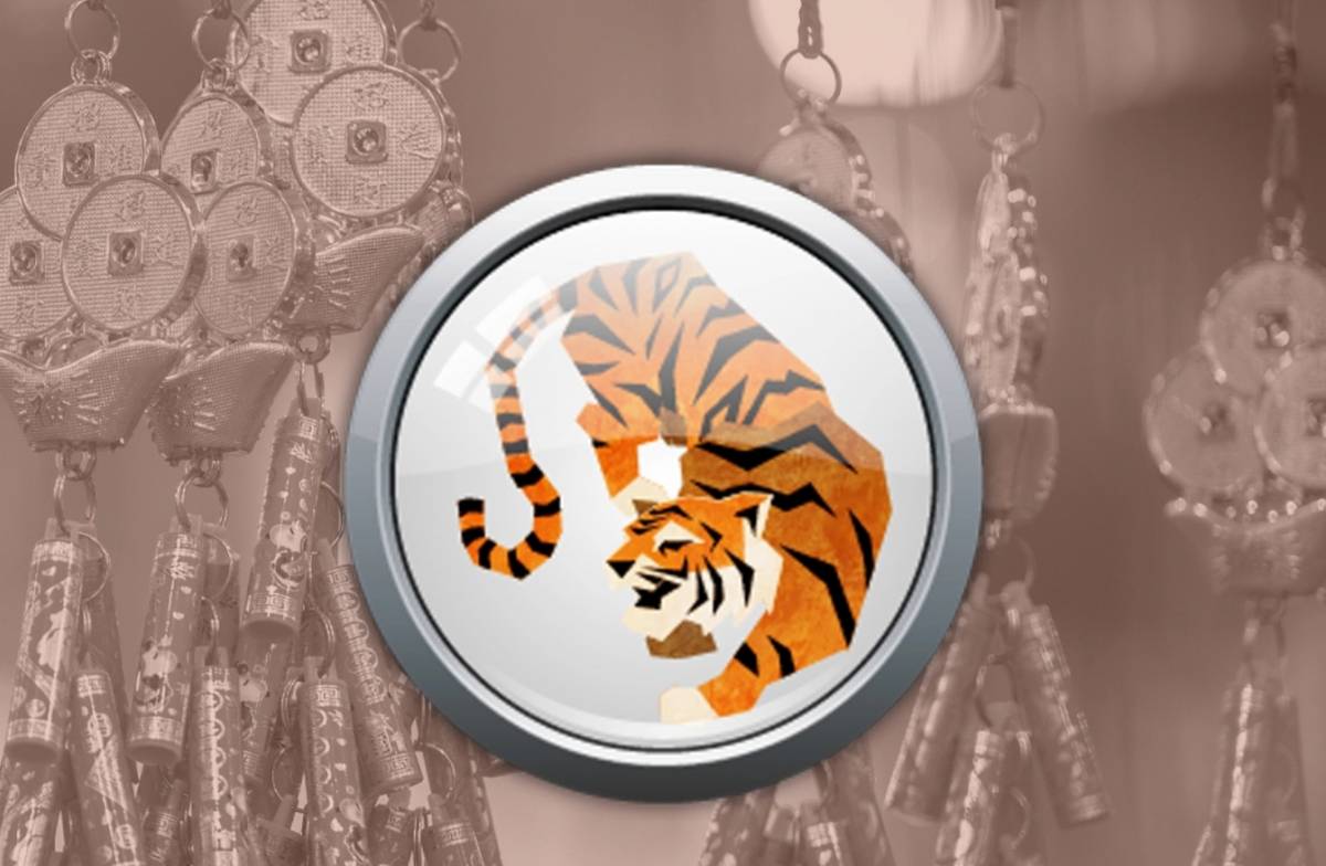 какой будет следующий год 2023. гороскоп 2020 год тигра. тигр 2022 год. год какого тигра 2022. год тигра 1986.