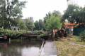 В Киеве гроза повалила деревья, ливень затопил улицы