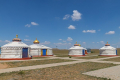 В Китае может произойти вспышка кишечной чумы