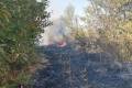 В Сумской области загорелась степь возле дачных домов