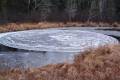 Як виникають крижані кола на воді