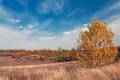 Погодные приметы на 8 ноября