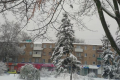 В Конотопе выпало 15 сантиметров снега (фото)