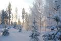 Погодные приметы на 12 февраля