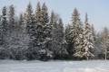 Погодные приметы на 17 февраля