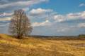10 фактів про клімат, які ми дізналися нещодавно