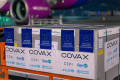 Первая поставка вакцин от COVAX ожидается в Украине до 15 апреля