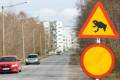 В Таллине на месяц перекрыли трассу в интересах лягушек