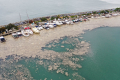 Экологии Мраморного моря угрожает «морская слизь»