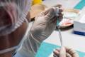Pfizer і BioNTech почнуть випробування вакцини від штаму «Дельта»