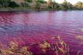 Озеро возле Мертвого моря стало кроваво-красным