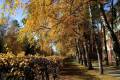 Именины 14 октября: у кого День ангела и что нельзя делать