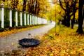 Іменини 9 листопада: у кого День ангела і що не можна робити