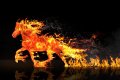 Китайський гороскоп на вівторок, 5 серпня