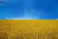 На День Державного Прапора в Україні очікується спекотна погода