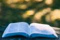 До чого сниться книга: значення, тлумачення