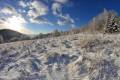 Погода во Львове на воскресенье, 20 ноября
