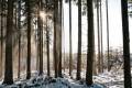 Погода в Одессе на четверг, 29декабря