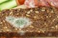 Цвіль на продуктах: викинути чи все ж таки з'їсти можна?