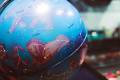 Гороскоп на неделю 24-30 июля