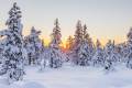 Погодные приметы на 17 февраля