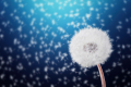 Horoscop pentru 26 august: e timpul să te relaxezi