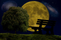 Își asociază viața cu femeile cu voință puternică: Bărbații din aceste semne Zodiacale sunt atrași de tovarășe puternice