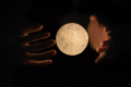 Horoscop pentru 30 noiembrie: care sunt perspectivele pentru tine