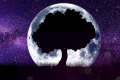 Horoscop săptămânal: ce așteaptă fiecare semn Zodiacal în perioada 9 - 15 decembrie