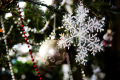 Horoscop pentru 13 decembrie: Rac nu ar trebui să creadă în superstiții, iar Balanța nu ar trebui să renunțe la sine