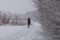 Погода на 13 февраля: в четверг немного потеплеет