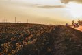 Погода 27 липня: яким буде останній день тижня?