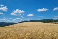 Прогноз погоды в Украине на неделю: 11 – 17 августа 2025
