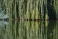 Погода во Львове на четверг, 14 августа