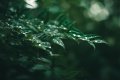Погода у Львові на п'ятницю, 22 серпня