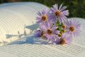 Погода во Львове на четверг, 28 августа