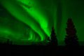 Гороскоп на воскресенье, 7 сентября