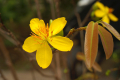 Погода на 9 сентября: без существенных осадков