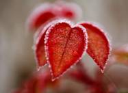 Prognoza pogody dla Warszawy na 15 stycznia