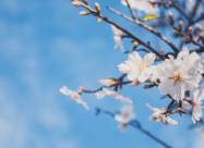 Pogoda w Polsce na 24.04.2020