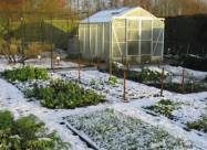 Kalendarz księżycowy ogrodnika i sadownika na styczeń 2021 roku