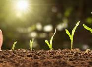 Kalendarz księżycowy ogrodnika i sadownika na kwiecień 2021 roku