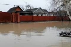 ВИДЕО. Таяние снегов вызвало наводнение на Кубани