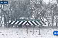 ВІДЕО. Вперше за багато років в Австралії випав сніг