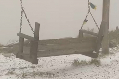 ВІДЕО. У День Незалежності Карпати засипало снігом