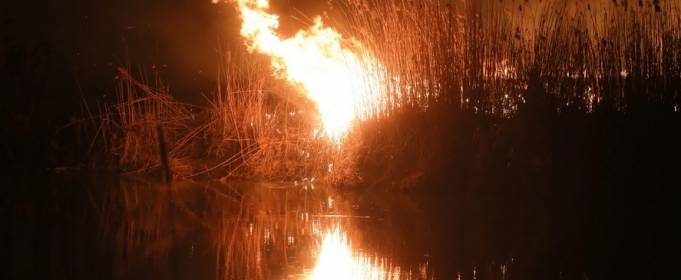 У Польщі розгорілися пожежі в Бебжанському національному парку. Фото У Польщі розгорілися пожежі в Бебжанському національному парку. Фото