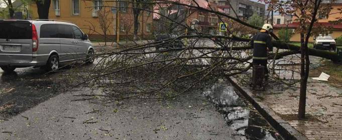 Непогода на Закарпатье. Обесточены населенные пункты и повалены деревья Непогода на Закарпатье. Обесточены населенные пункты и повалены деревья