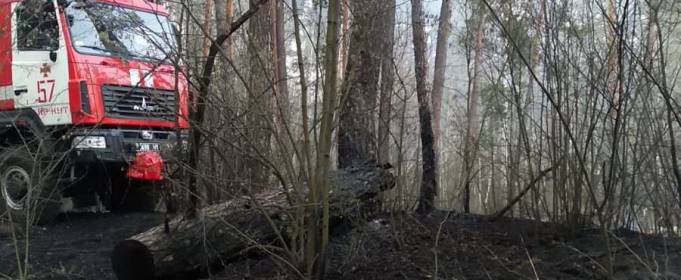 На Харківщині ліквідували лісову пожежу На Харківщині ліквідували лісову пожежу