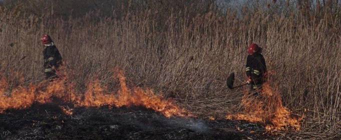 У 10 областях України оголосили надзвичайну пожежну небезпеку У 10 областях України оголосили надзвичайну пожежну небезпеку
